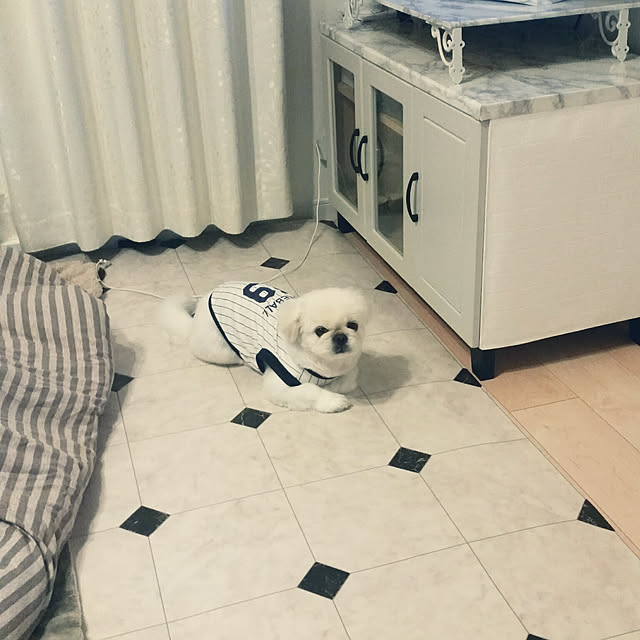 yukagomaさんの実例写真