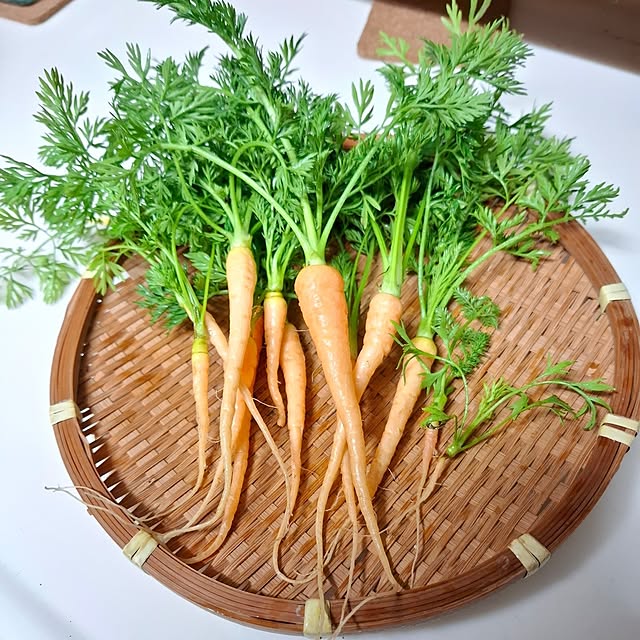 midoriさんの部屋