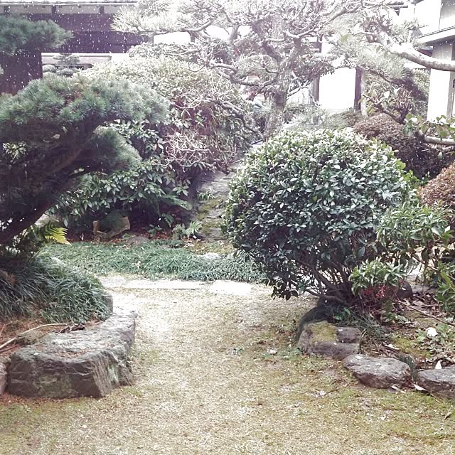 momokuriさんの実例写真