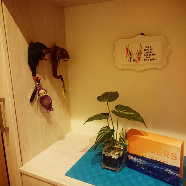 実例写真