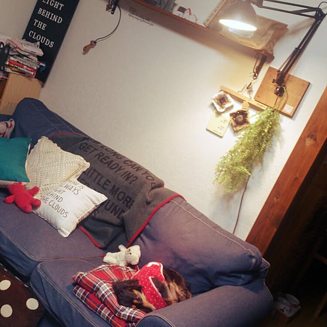 minaさんの実例写真