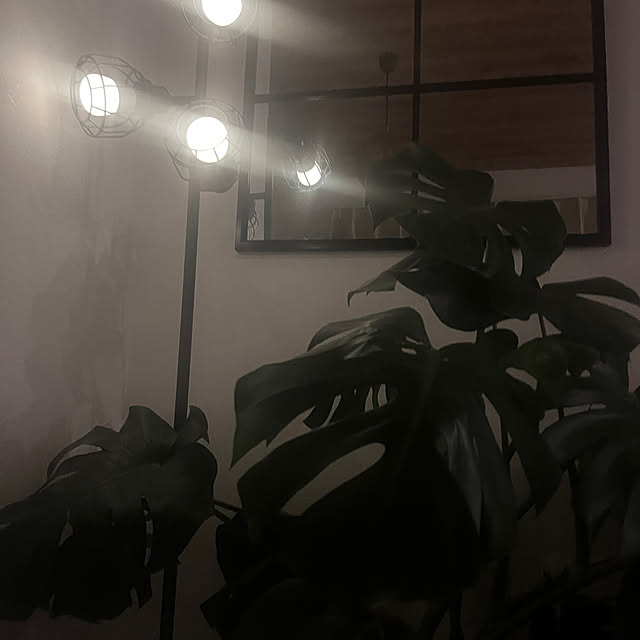 tomさんの実例写真