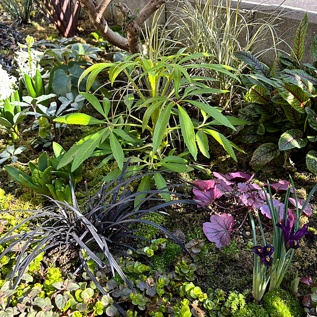 kyoko1124koさんの部屋