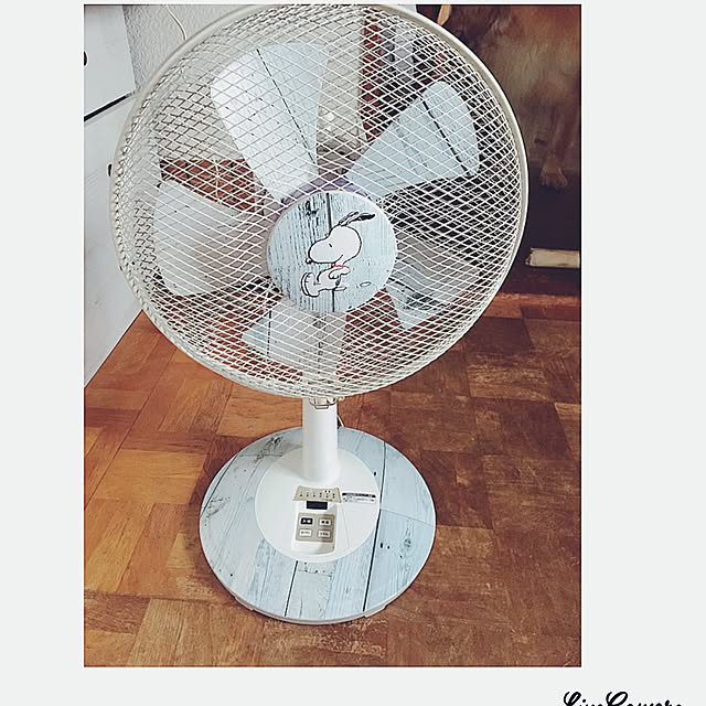 suuchanさんの実例写真