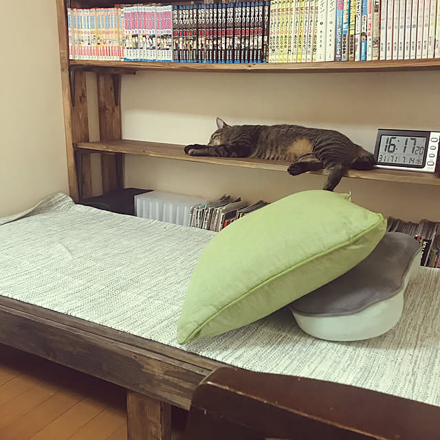 mikan161さんの実例写真