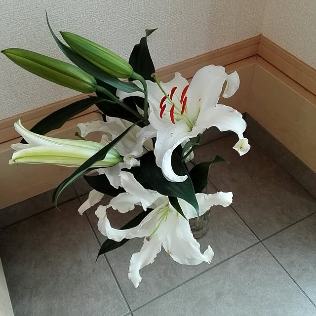 Lovelyさんの実例写真