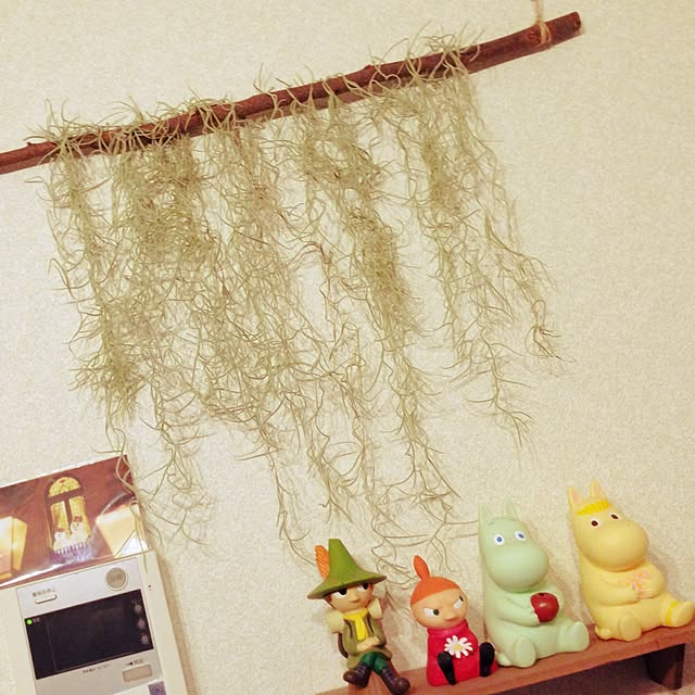 kanaさんの実例写真
