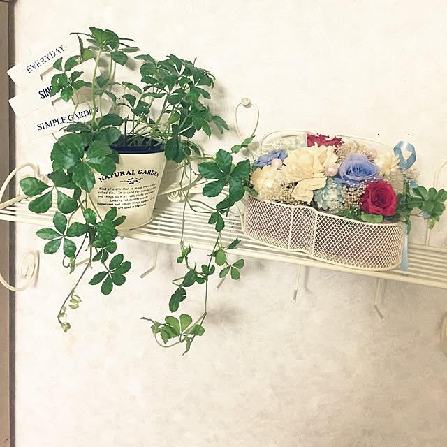 ayayaさんの実例写真