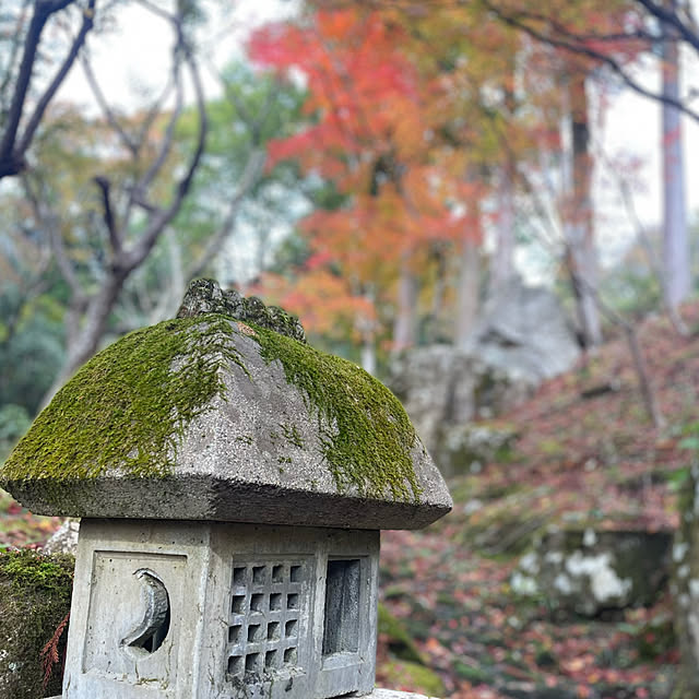 kuikoさんの部屋