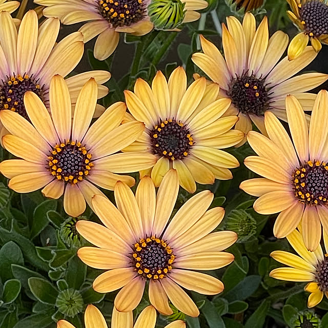 namecoさんの部屋