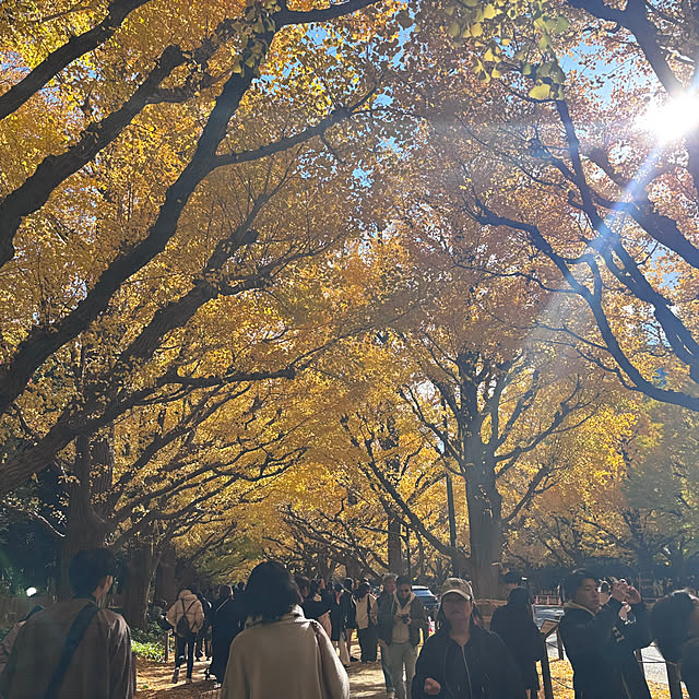 qnjqyさんの部屋