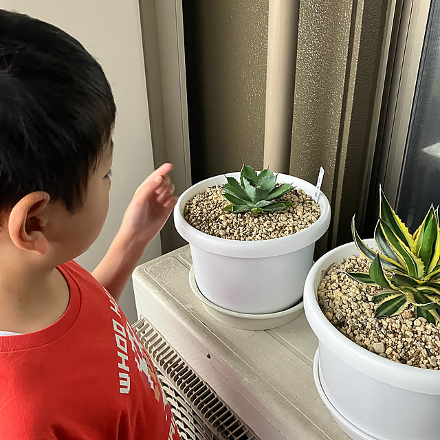 koshiregutyoさんの部屋