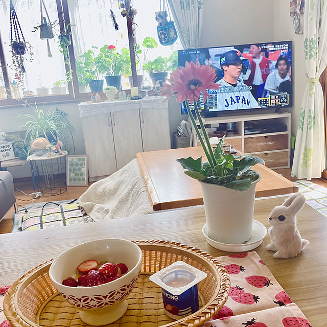 CoCo0617さんの部屋