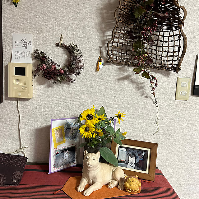 ritsukoさんの部屋