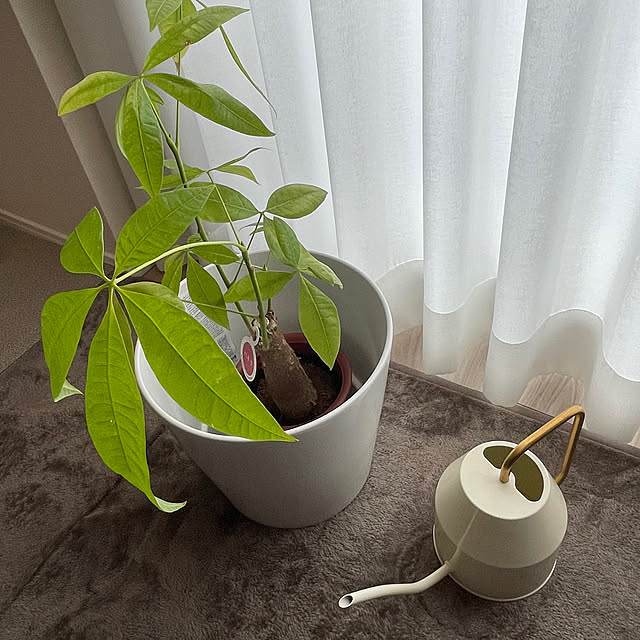 ymt12342000rkさんの実例写真