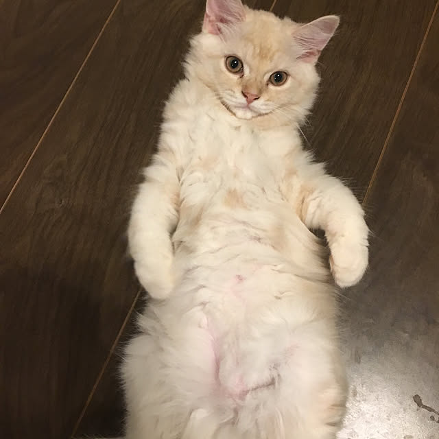 takiさんの実例写真