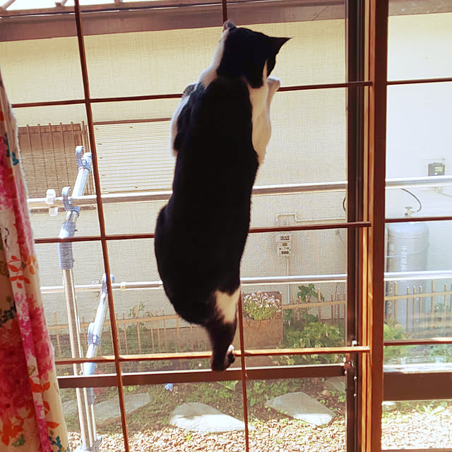 oseroさんの実例写真