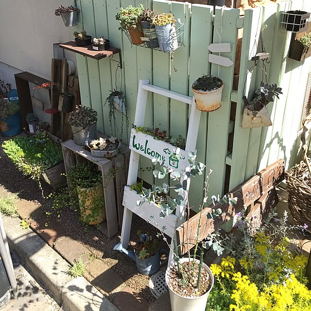 yukkaさんの実例写真
