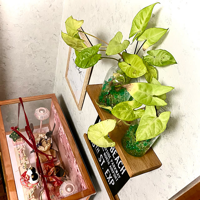 Yoshiさんの実例写真