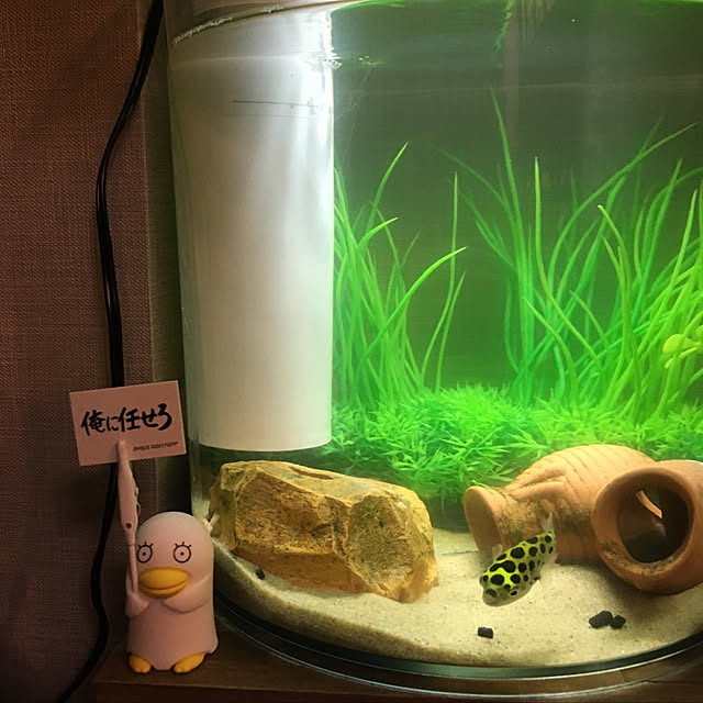 hanaさんの実例写真