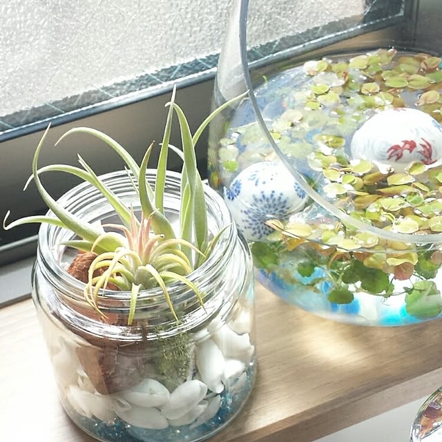 mikimaruさんの実例写真