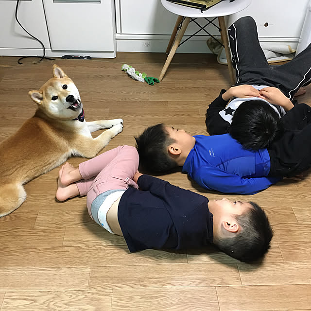 luckyさんの実例写真