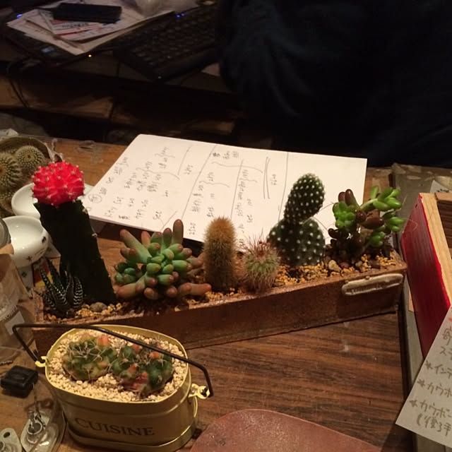 Tsubasaさんの実例写真