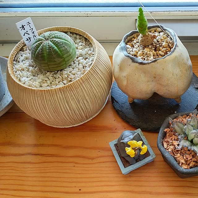 t.yumiさんの部屋