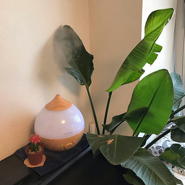 kurtekさんの実例写真