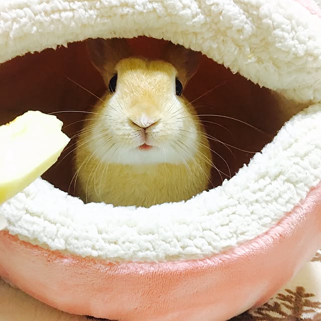 khj1974さんの実例写真