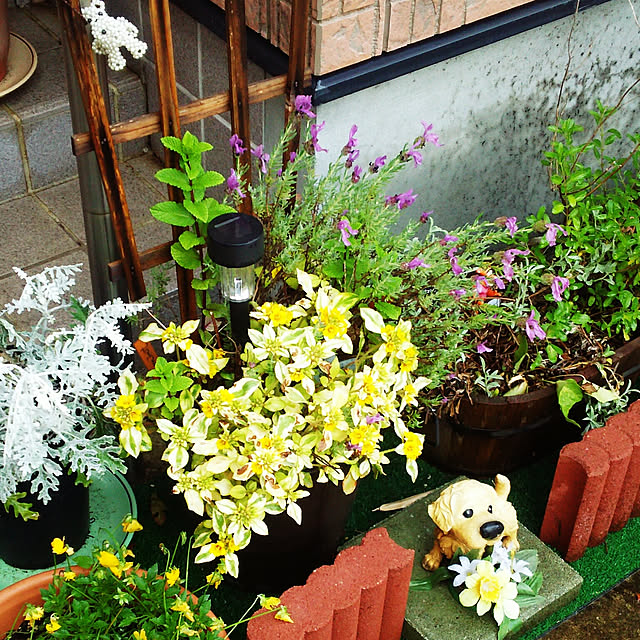 Tirorinさんの実例写真