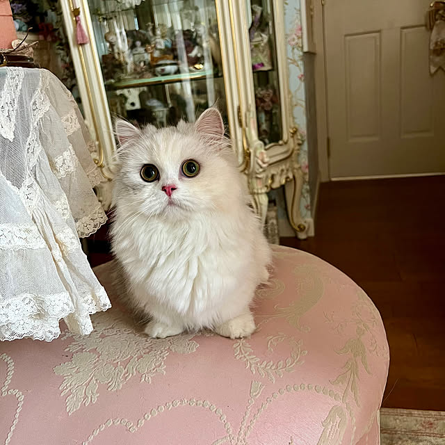AYUKOさんの部屋