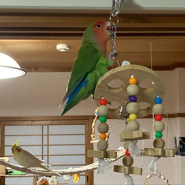 toratanさんの実例写真