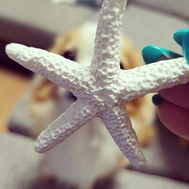 Maricoさんの実例写真