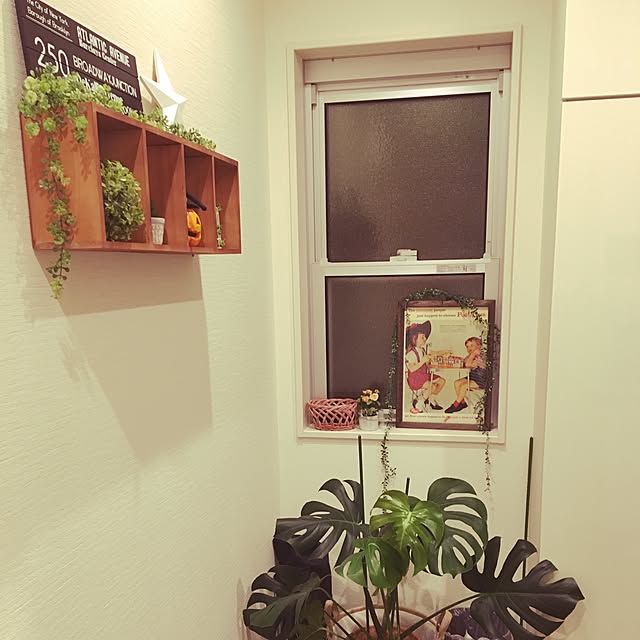 lunamamajunkoさんの実例写真