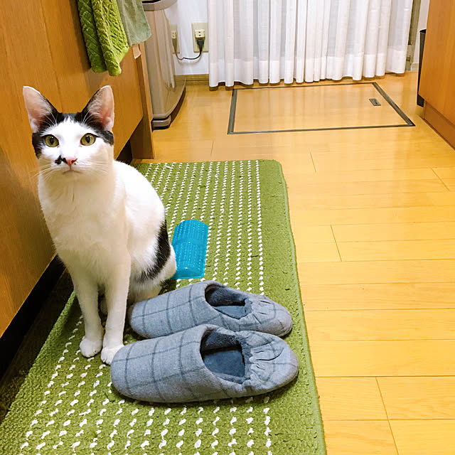 nobikoさんの実例写真