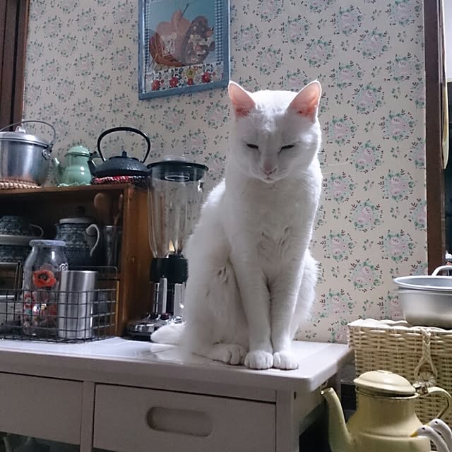 amifuuさんの実例写真