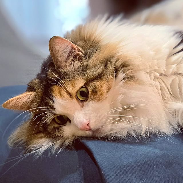 akiko6193さんの部屋