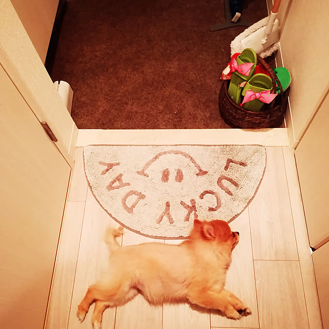 miyonさんの実例写真