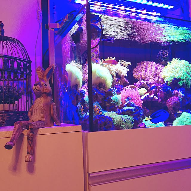 yuさんの実例写真