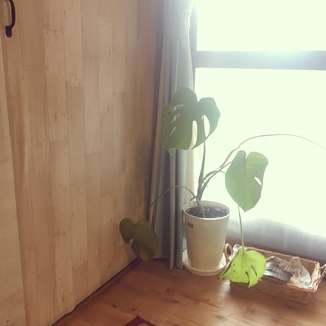 chauさんの実例写真