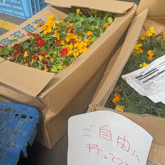 monnさんの部屋