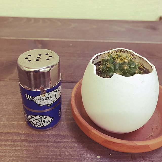 akihikoさんの実例写真