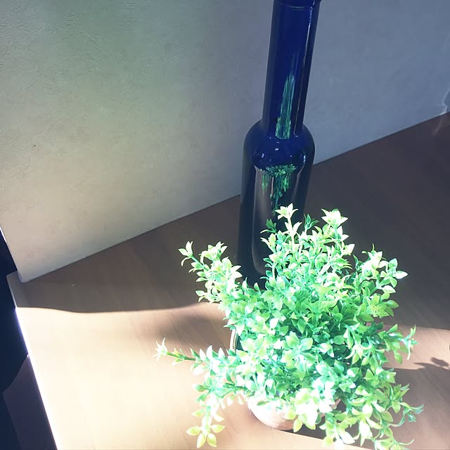 chie.n_n.さんの実例写真