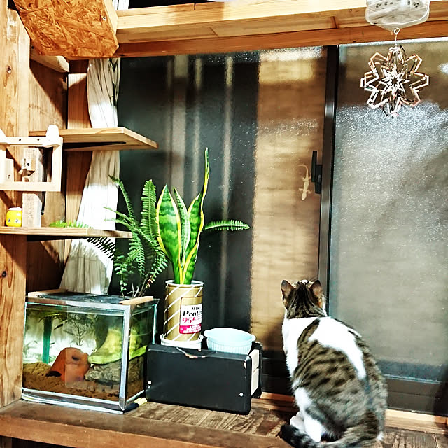 kikuさんの実例写真