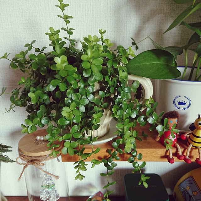 hopkeiさんの実例写真