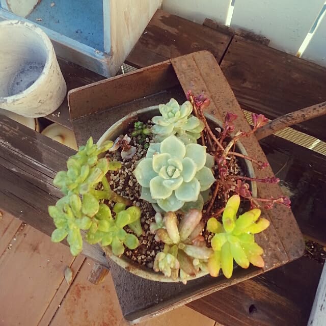 yururiragardenさんの実例写真