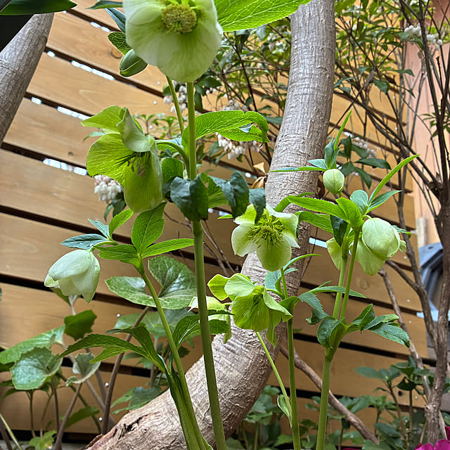 mirutanさんの部屋