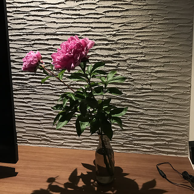 baさんの実例写真