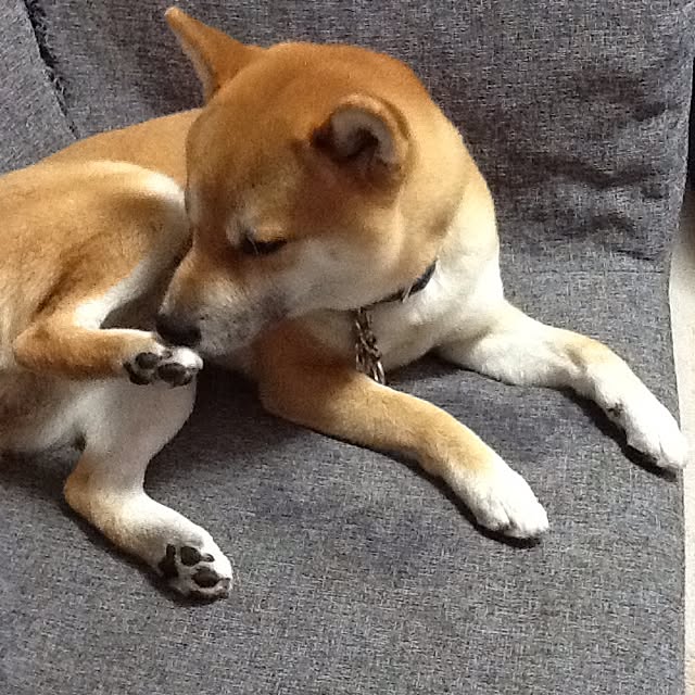 kotaさんの実例写真